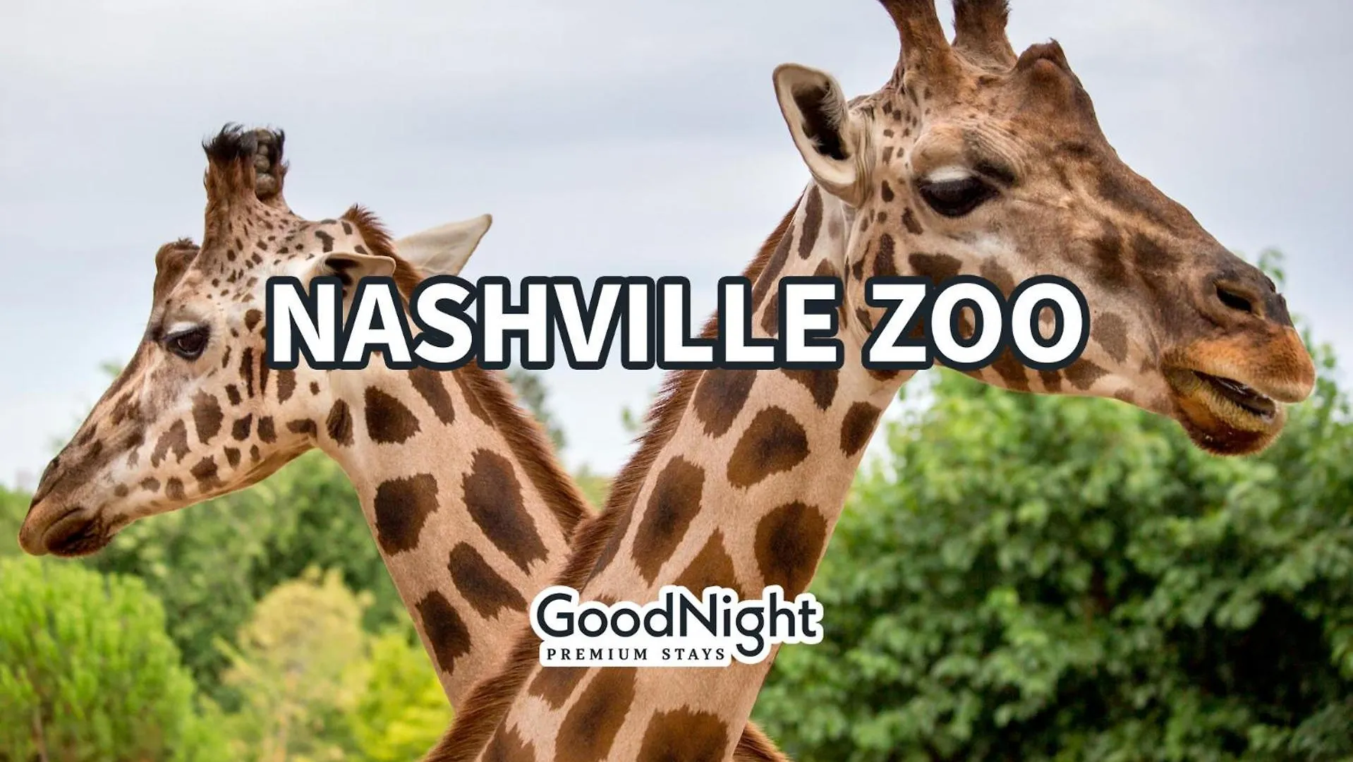 Willa Modern Cowboy - Private Balcony - Mins To Broadway Nashville 0*,  Stany Zjednoczone Ameryki